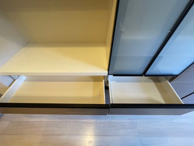 DIPS墨田RIVERSIDE 収納