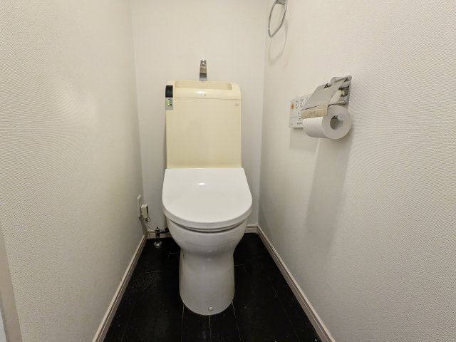 グレーシャーブルー トイレ