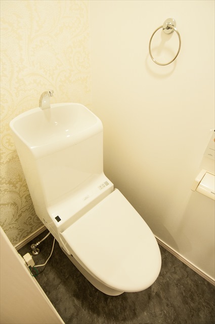 メゾン・ド・ルミナーレ トイレ