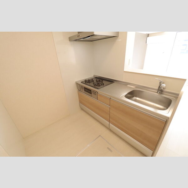 ロイジェントパークス レイクタウン Ⅲ　F 対面システムキッチン