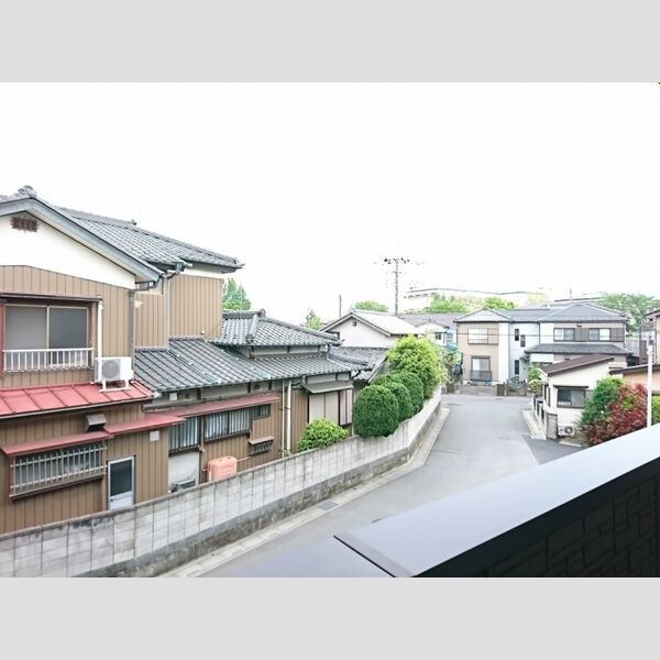 Lupinus Garden 眺望