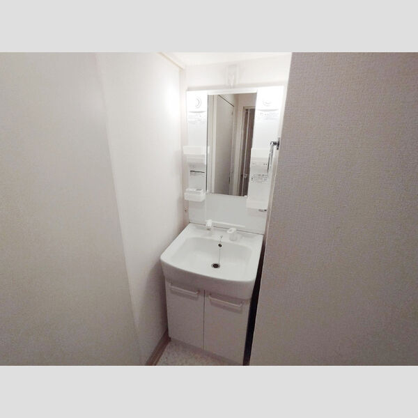 ガーデンハウス 402号室　洗面台