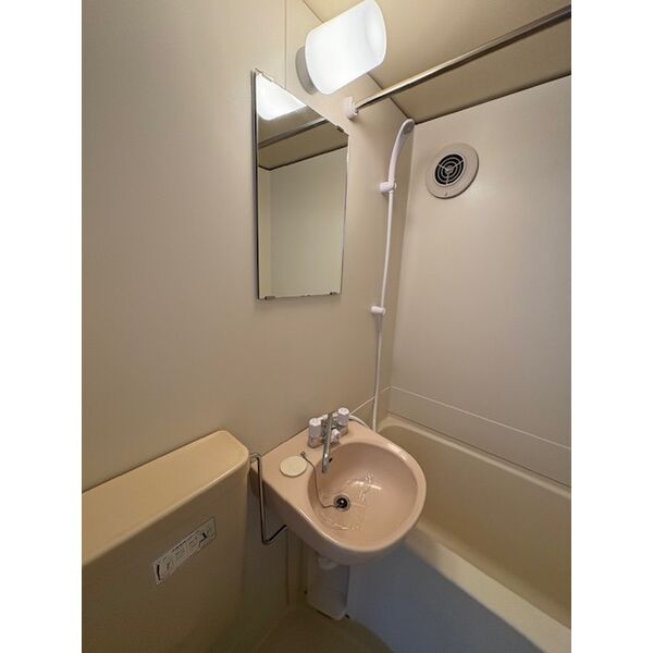 ジュネコーポ八ヶ崎0101号室 洗面