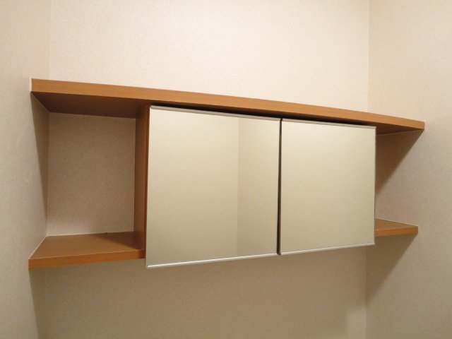 ディア フレンド ＫＯＩＺＵＭＩ206号室 トイレ戸棚