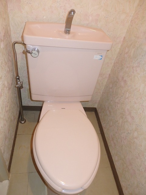 バーデンハイムマサキ(E-078)3階 トイレ