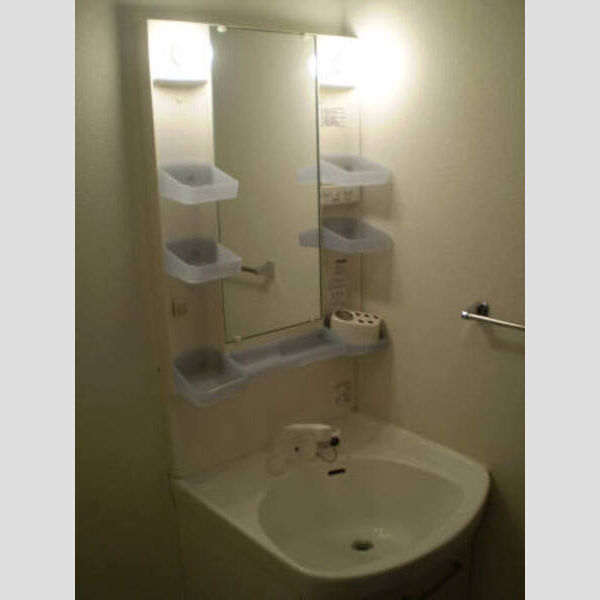 ザ・ハウス野田302号室 洗髪洗面化粧台