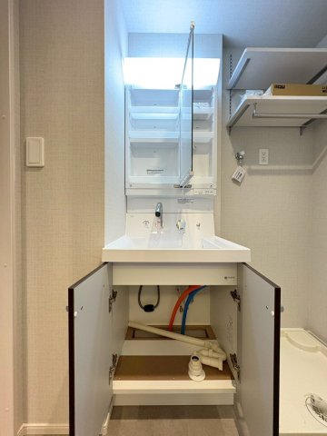 DIPS西新井201号室 洗面