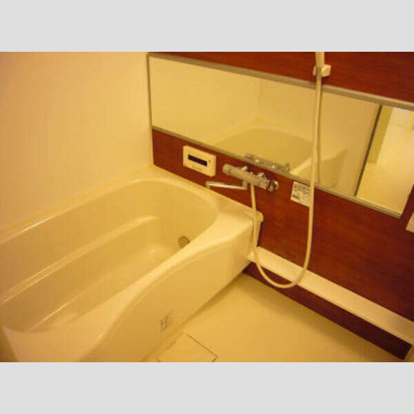 ジュネスタウン103号室 ウッド調パネル採用の浴室