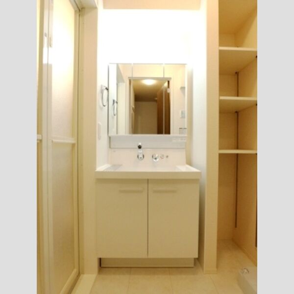 ブラウ天王台306号室 洗髪洗面化粧台