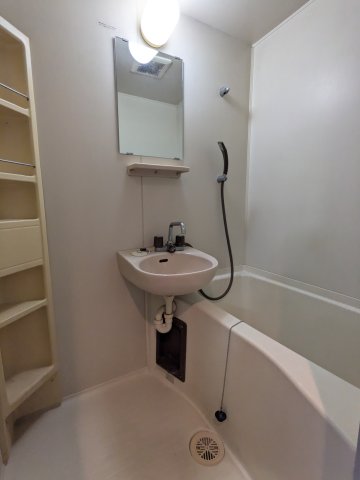 カーサグランディール0208号室 洗面