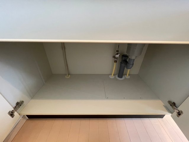 グラントゥルース練馬2804号室 収納