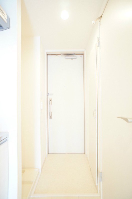 リブリ・テラ1階 玄関