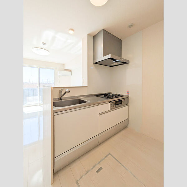 ロイジェントパークス レイクタウン Ⅲ　A103号室 対面式システムキッチン
