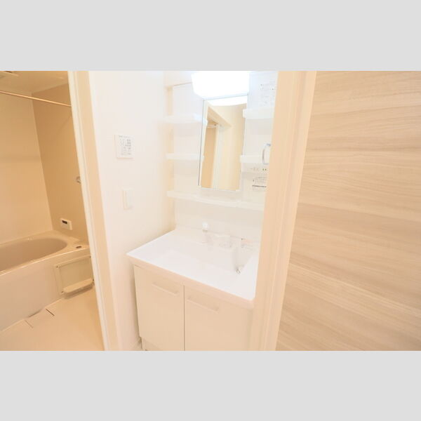 D Paina 中野島Ⅱ203号室 洗髪洗面化粧台