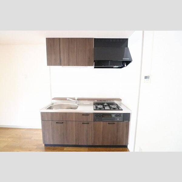 パレススリーゼ1A号室 システムキッチン