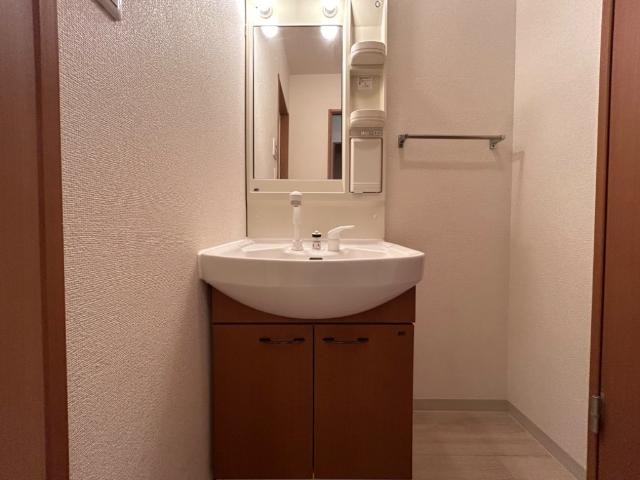 エルシオンⅡ203号室 洗髪洗面化粧台（イメージ）