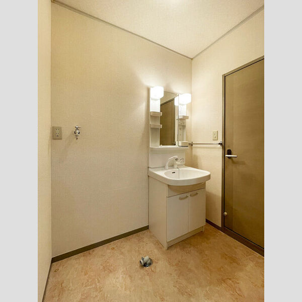 メゾン・デュークス 洗髪洗面化粧台