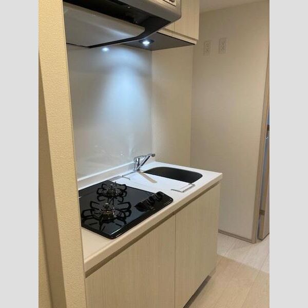 S-RESIDENCE両国緑 お風呂