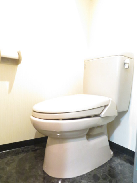グランド・ガーラ南麻布13階 トイレも気になるポイント