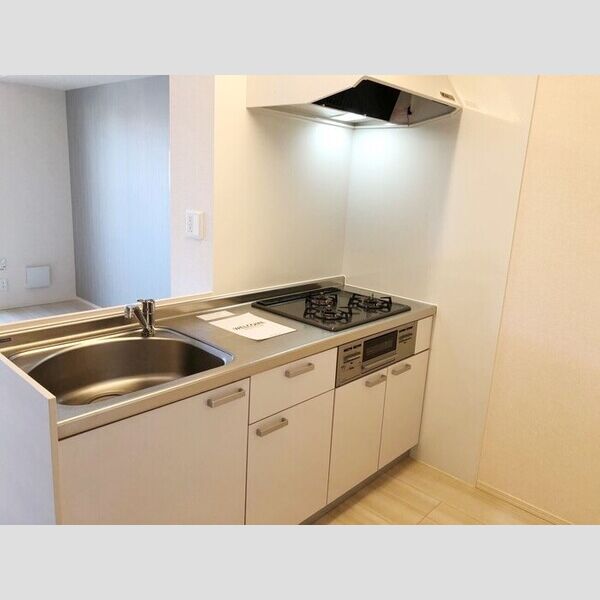 リオハイト102号室 システムキッチン