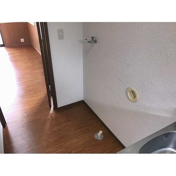 ベルクハイム0201号室 室内洗濯機置場