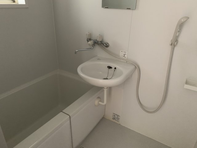 メゾン成瀬が丘102号室 洗面