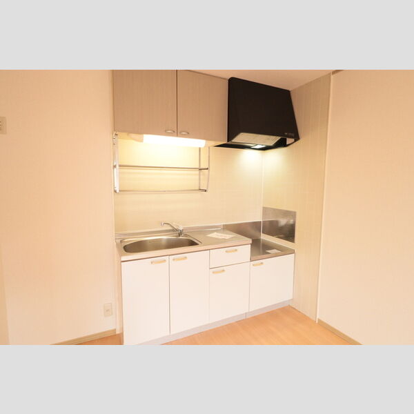 ホワイトハイツ白樺202号室 キッチン