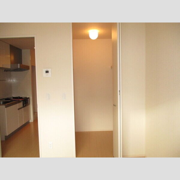 プルメリア ウオークインクローゼット