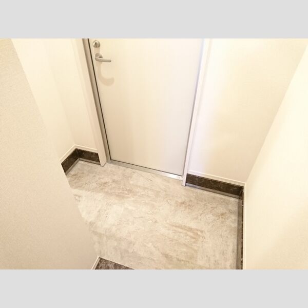 ロイジェントパークス レイクタウン Ⅱ　M 玄関