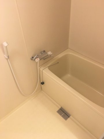 ブルーカーサ２５０－Ⅰ ※現況優先