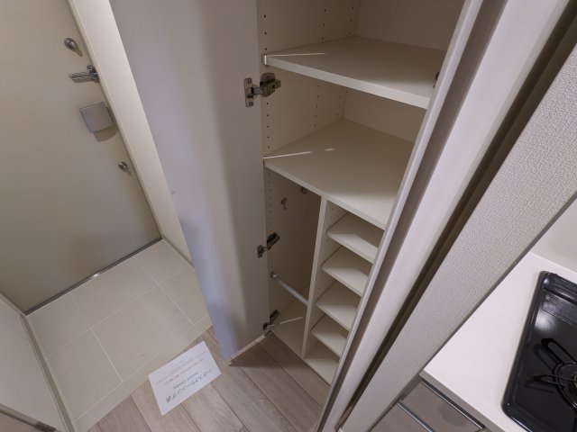 ケーディーエックスレジデンス豊洲309号室 収納