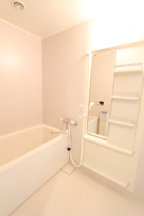 習志野台野村ハイツ204号室 洋室収納