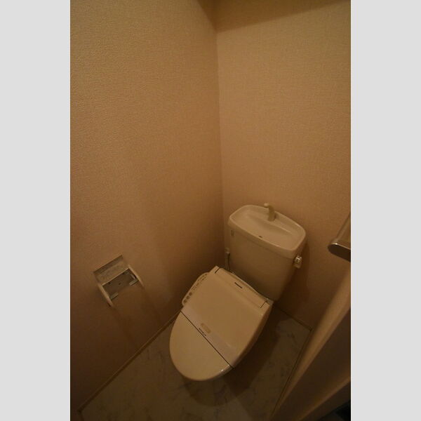 ドミール・フジ トイレ