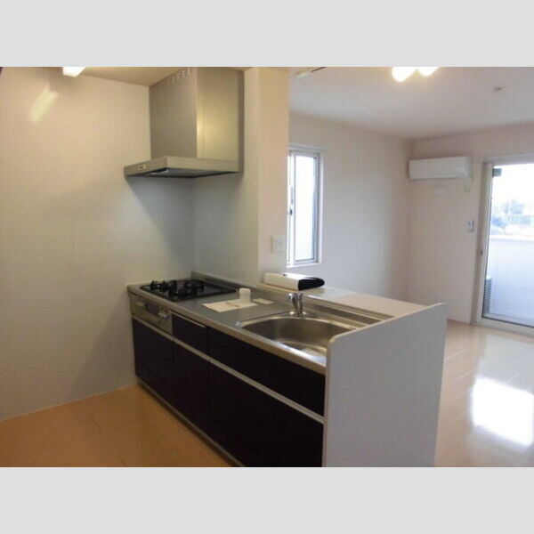 サンティエ203号室 対面システムキッチン