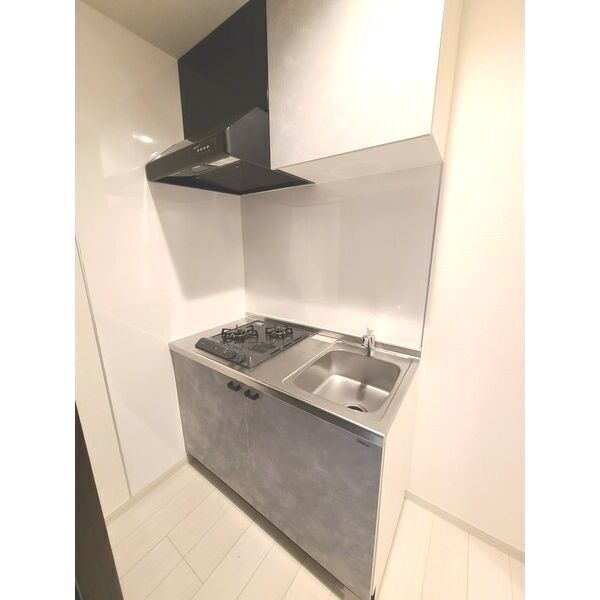 Maison de L'aile101号室 部屋その他