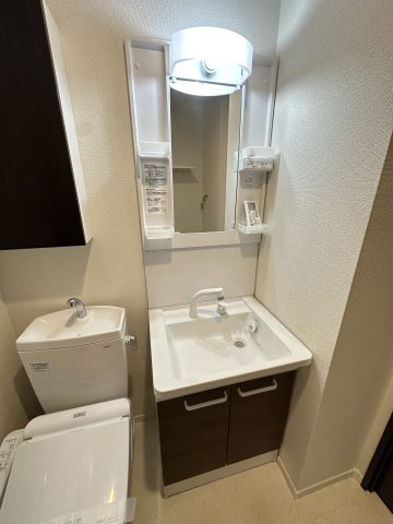ベイルーム西横濱Ⅱ303号室 洗面