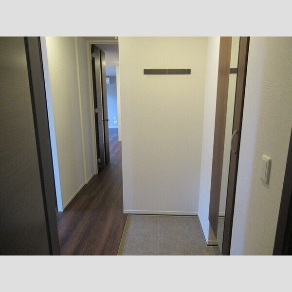 Buena Venir(ブエナ　ヴェニール)201号室 玄関