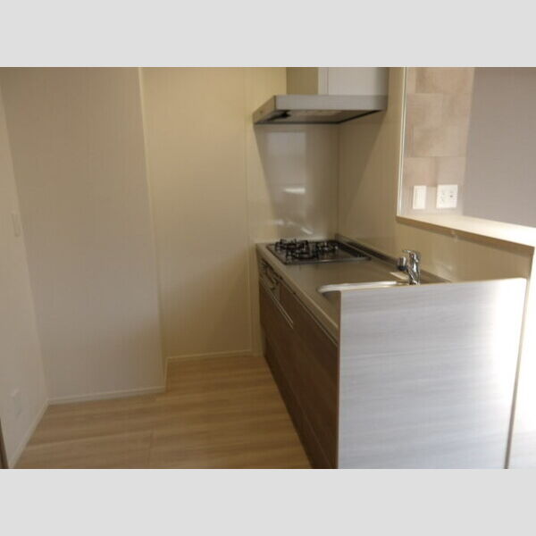 アップルベリーフィールズ202号室 キッチンスペース