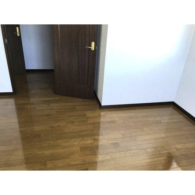 マリエンベルグ301号室 内観