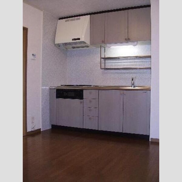 ヴァンベール神山　Ⅱ310号室 システムキッチン