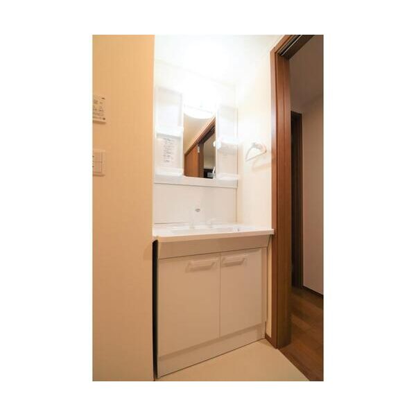 フォレスト・メゾン浦和北202号室 洗面