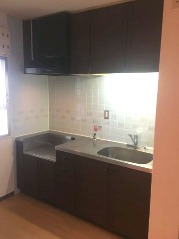 ブルーカーサ２５０－Ⅰ ※現況優先