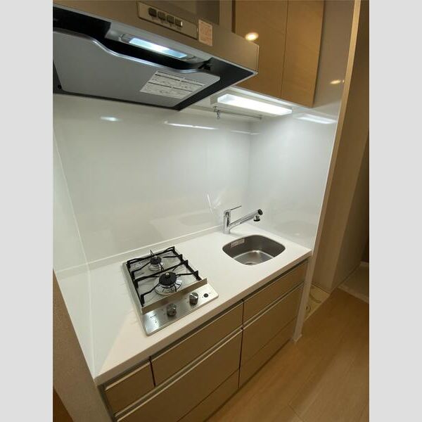 MAXIV西横浜DUE103号室 玄関