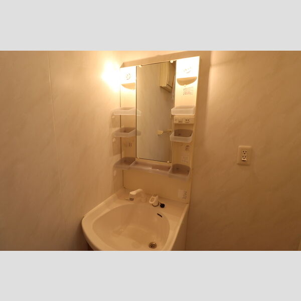 グランモア登戸　弐番館207号室 洗髪洗面化粧台