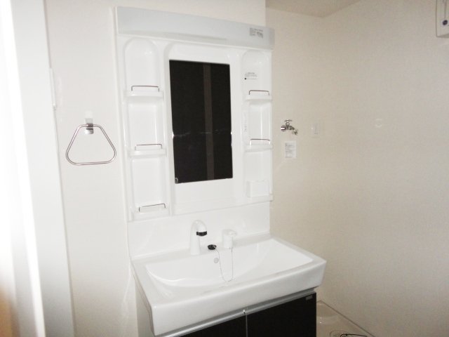 サンフォレスタ２番館201号室 シャンプードレッサー