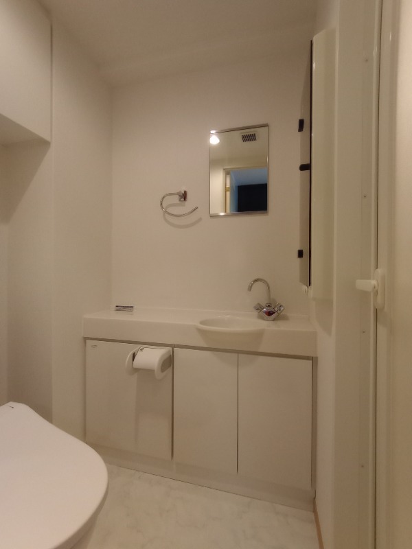 サンスタレ浅草10階 洗面