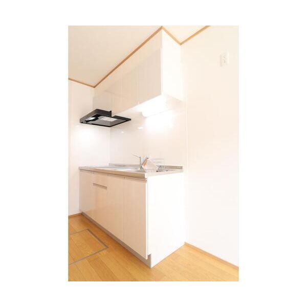 フォレストサンカン102号室 キッチン