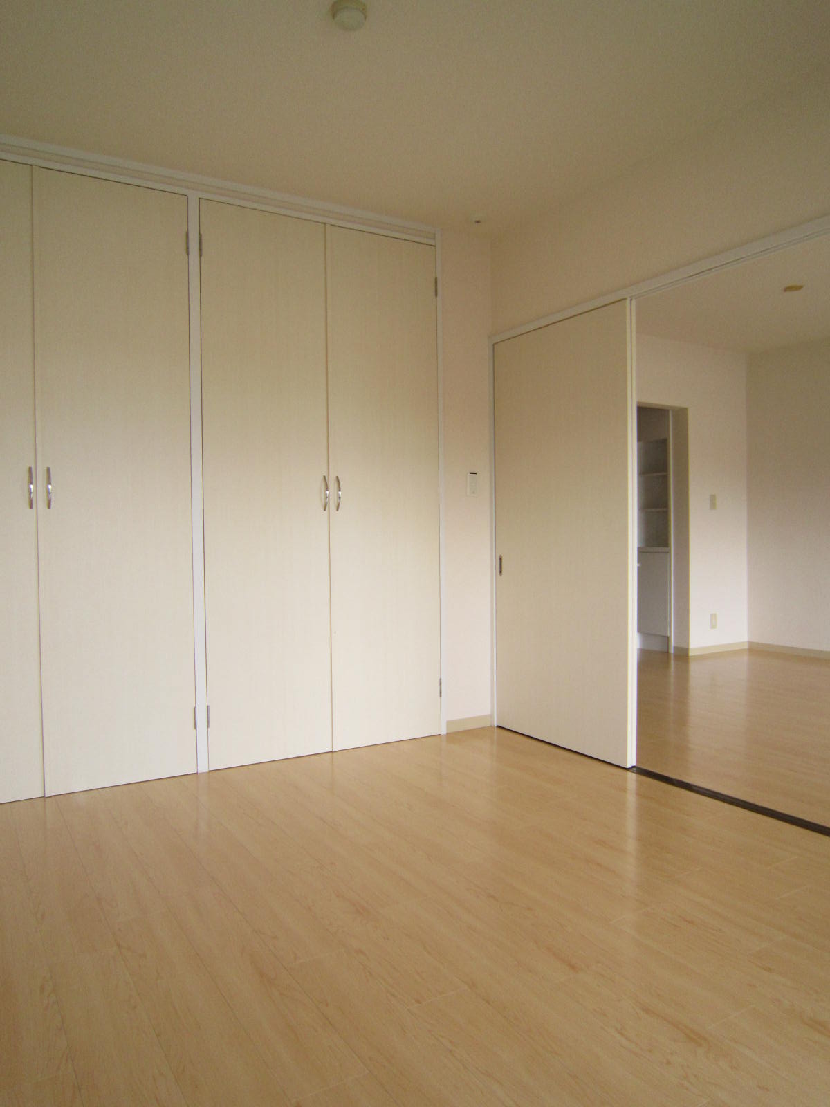 リバーサンド0402号室 収納