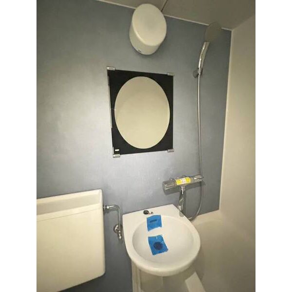 メゾン・ド・セヴェールNO.10103号室 洗面