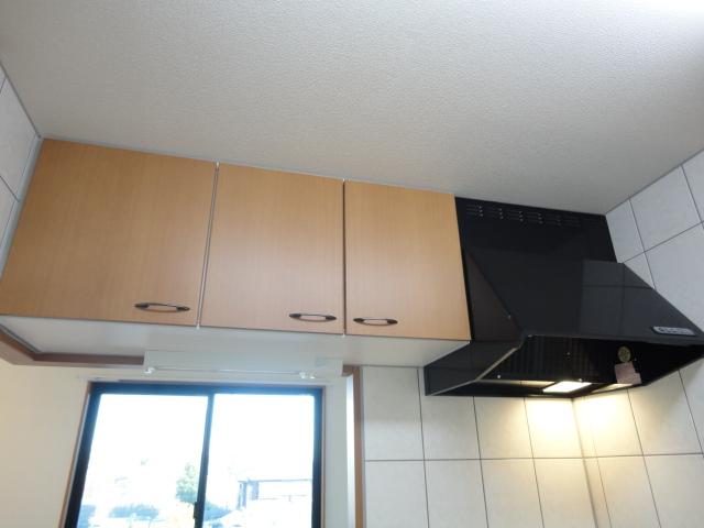 ＴＩＡＲＡ（ティアラ）101号室 キッチン吊戸棚